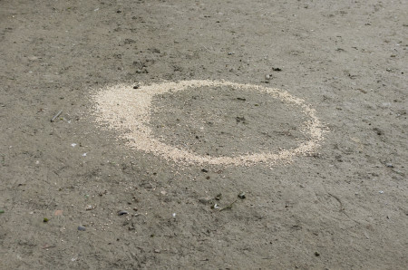 neuer Artikel lies alles über die Kunst